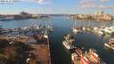 ./images/victoria/wharf/20191028/wharf20191028_130954.jpg