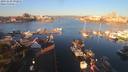 ./images/victoria/wharf/20191029/wharf20191029_092951.jpg