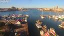 ./images/victoria/wharf/20191029/wharf20191029_111456.jpg