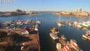 ./images/victoria/wharf/20191029/wharf20191029_114451.jpg
