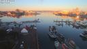 ./images/victoria/wharf/20191030/wharf20191030_081950.jpg