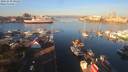 ./images/victoria/wharf/20191030/wharf20191030_094457.jpg