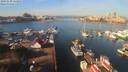 ./images/victoria/wharf/20191030/wharf20191030_111955.jpg