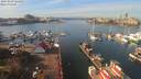 ./images/victoria/wharf/20191030/wharf20191030_124451.jpg