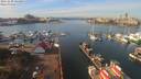 ./images/victoria/wharf/20191030/wharf20191030_124954.jpg