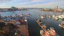 ./images/victoria/wharf/20191030/wharf20191030_131951.jpg