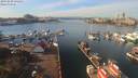./images/victoria/wharf/20191030/wharf20191030_132453.jpg