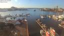 ./images/victoria/wharf/20191030/wharf20191030_152449.jpg