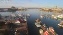 ./images/victoria/wharf/20191031/wharf20191031_110949.jpg