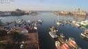./images/victoria/wharf/20191031/wharf20191031_120451.jpg