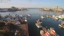 ./images/victoria/wharf/20191031/wharf20191031_121456.jpg