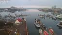 ./images/victoria/wharf/20191101/wharf20191101_075454.jpg
