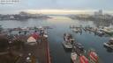 ./images/victoria/wharf/20191101/wharf20191101_082956.jpg