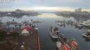 ./images/victoria/wharf/20191101/wharf20191101_084957.jpg