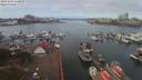 ./images/victoria/wharf/20191101/wharf20191101_110949.jpg