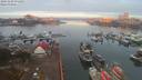 ./images/victoria/wharf/20191103/wharf20191103_071452.jpg