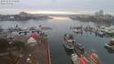 ./images/victoria/wharf/20191103/wharf20191103_072457.jpg