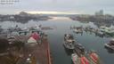 ./images/victoria/wharf/20191103/wharf20191103_072950.jpg
