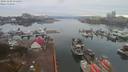 ./images/victoria/wharf/20191103/wharf20191103_074952.jpg