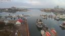 ./images/victoria/wharf/20191103/wharf20191103_082956.jpg