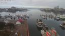 ./images/victoria/wharf/20191103/wharf20191103_095958.jpg