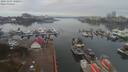 ./images/victoria/wharf/20191103/wharf20191103_100451.jpg