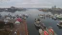 ./images/victoria/wharf/20191103/wharf20191103_101457.jpg