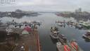 ./images/victoria/wharf/20191103/wharf20191103_101950.jpg