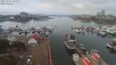 ./images/victoria/wharf/20191103/wharf20191103_103952.jpg
