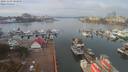./images/victoria/wharf/20191103/wharf20191103_104958.jpg