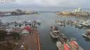 ./images/victoria/wharf/20191103/wharf20191103_112459.jpg