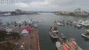 ./images/victoria/wharf/20191103/wharf20191103_131955.jpg