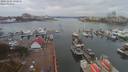./images/victoria/wharf/20191103/wharf20191103_132458.jpg