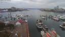 ./images/victoria/wharf/20191103/wharf20191103_133956.jpg