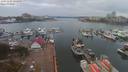 ./images/victoria/wharf/20191103/wharf20191103_134450.jpg