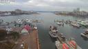 ./images/victoria/wharf/20191103/wharf20191103_134952.jpg