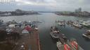 ./images/victoria/wharf/20191103/wharf20191103_140450.jpg