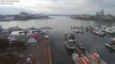 ./images/victoria/wharf/20191103/wharf20191103_141457.jpg