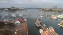 ./images/victoria/wharf/20191104/wharf20191104_102456.jpg