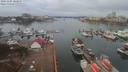 ./images/victoria/wharf/20191104/wharf20191104_103954.jpg