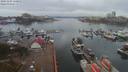 ./images/victoria/wharf/20191104/wharf20191104_110951.jpg