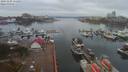 ./images/victoria/wharf/20191104/wharf20191104_111454.jpg
