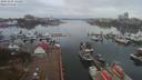 ./images/victoria/wharf/20191104/wharf20191104_111957.jpg