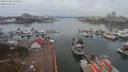 ./images/victoria/wharf/20191104/wharf20191104_123954.jpg