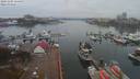 ./images/victoria/wharf/20191104/wharf20191104_154456.jpg