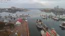 ./images/victoria/wharf/20191105/wharf20191105_080954.jpg