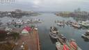 ./images/victoria/wharf/20191105/wharf20191105_081949.jpg