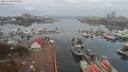 ./images/victoria/wharf/20191105/wharf20191105_082955.jpg