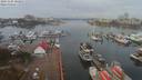 ./images/victoria/wharf/20191105/wharf20191105_101954.jpg