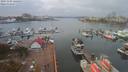 ./images/victoria/wharf/20191105/wharf20191105_124453.jpg